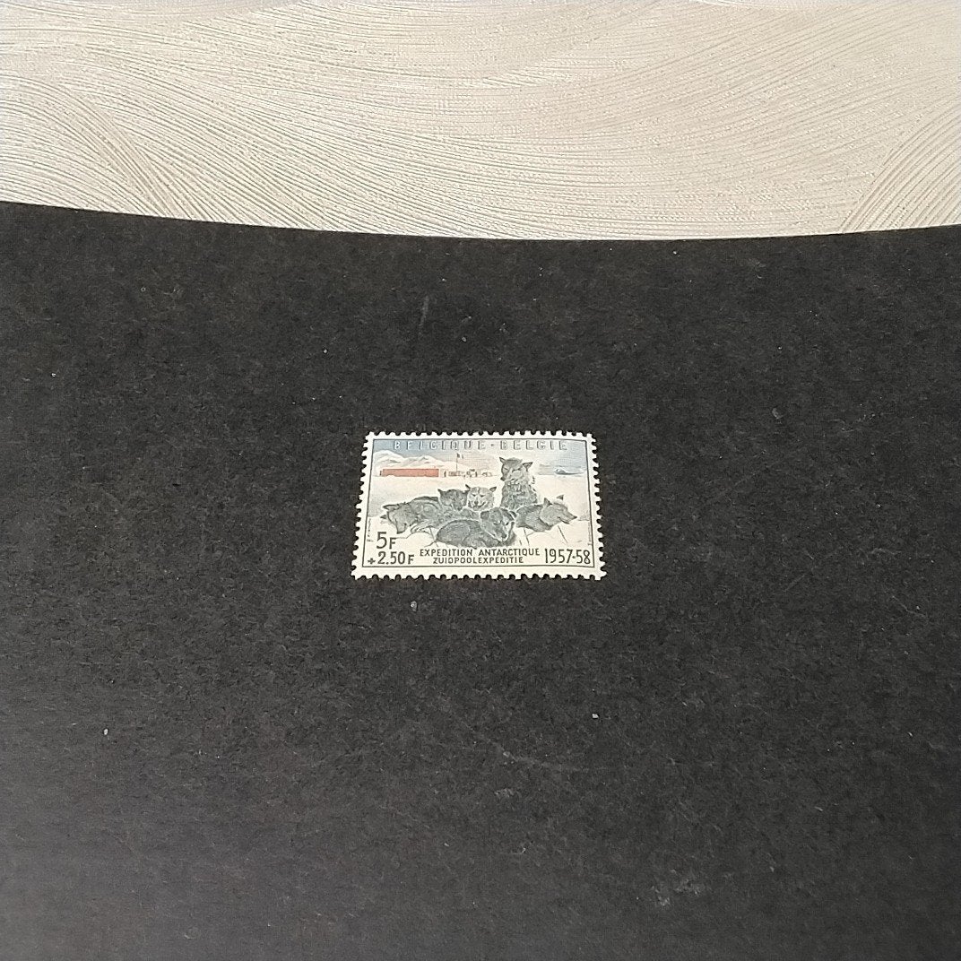 Charnière BELGIE 1031 avec noyau 30,00€, Enlèvement ou Envoi