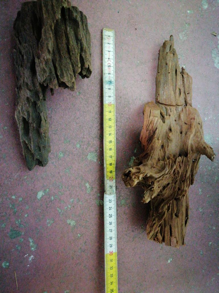 Drijvend aquarium hout, Dieren en Toebehoren, Ophalen
