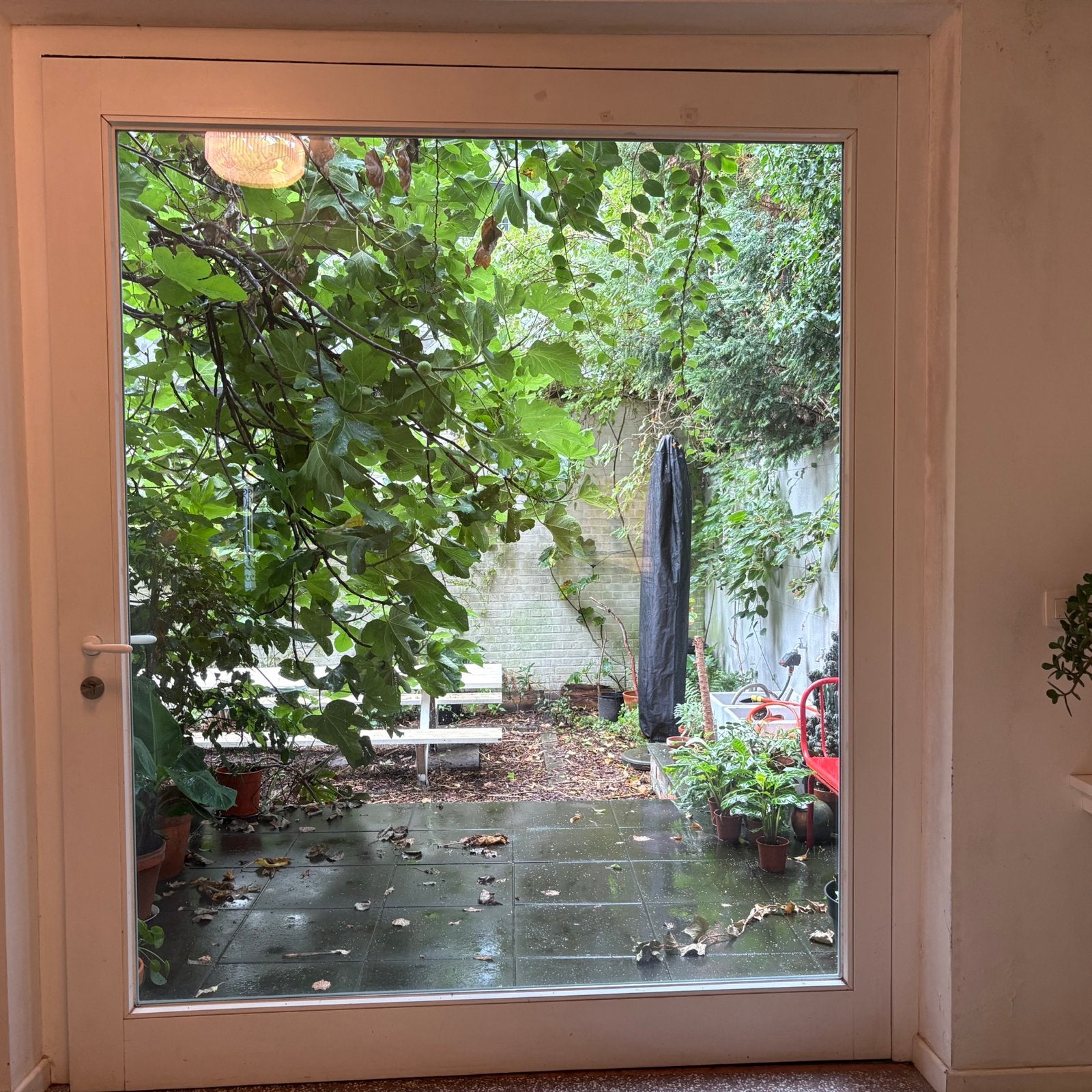 Porte patio pivotante en bois dur tropical, Enlèvement, Comme neuf, Verre, Porte extérieure