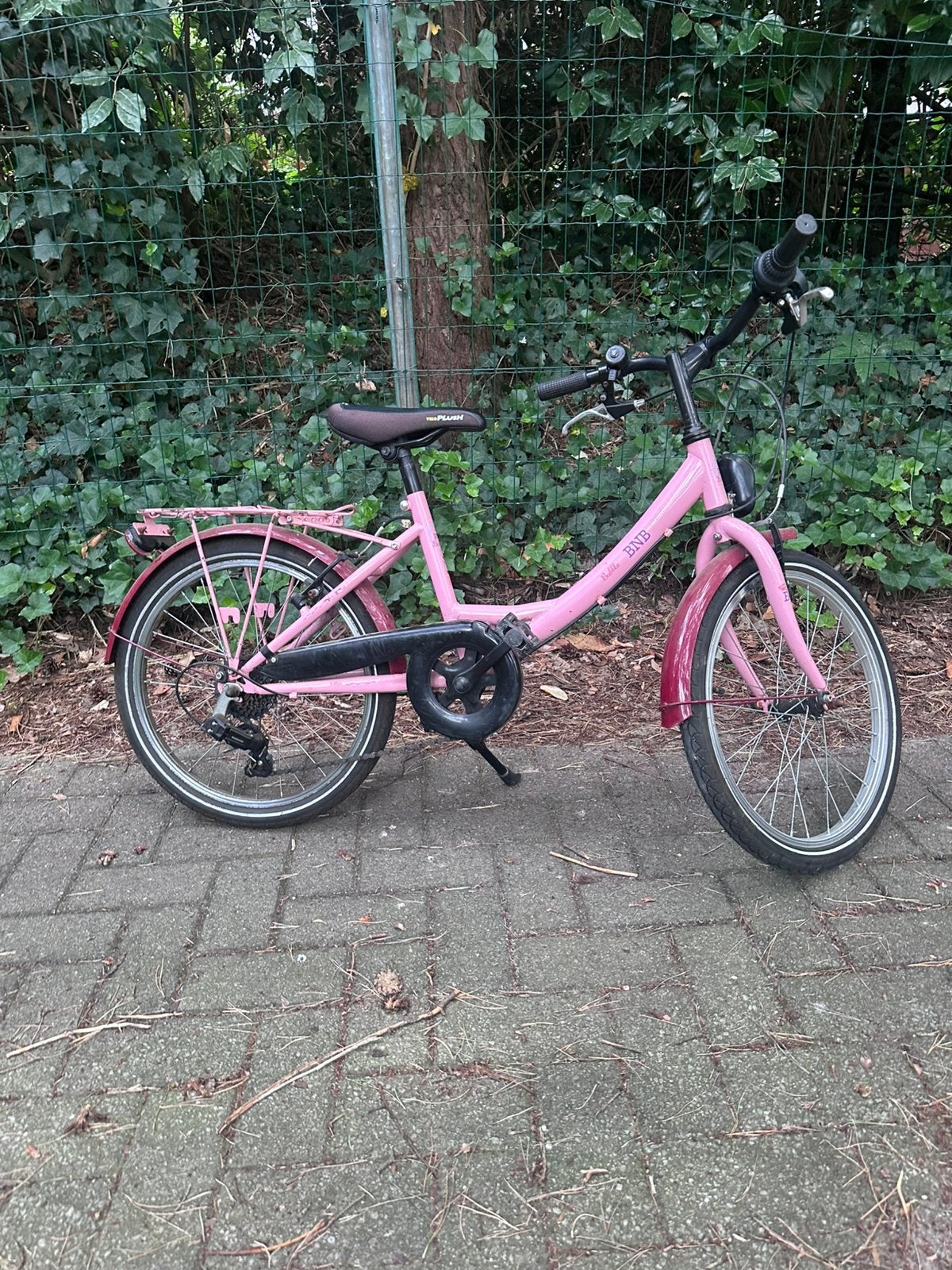 Meisjesfiets, Ophalen, Gebruikt, Velgrem, Versnellingen