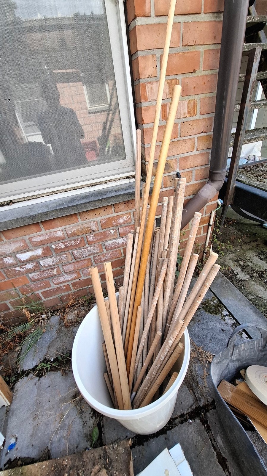 voliere stokjes gratis, Enlèvement