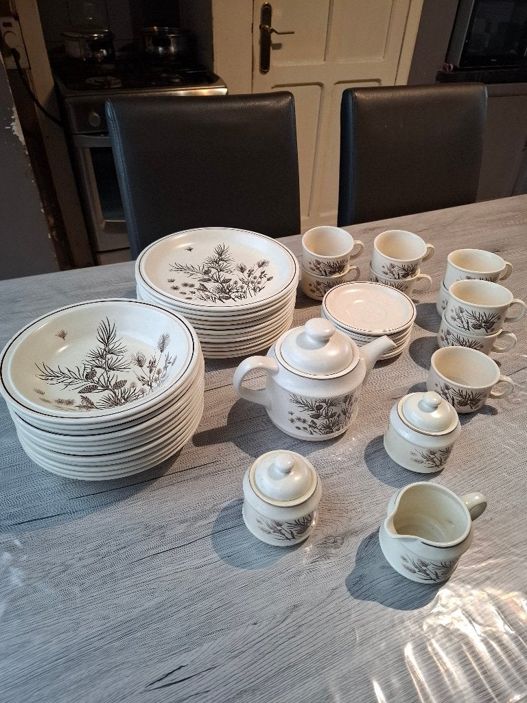 Vintage servies Pinewood, Ophalen, Gebruikt, Overige merken, Vintage