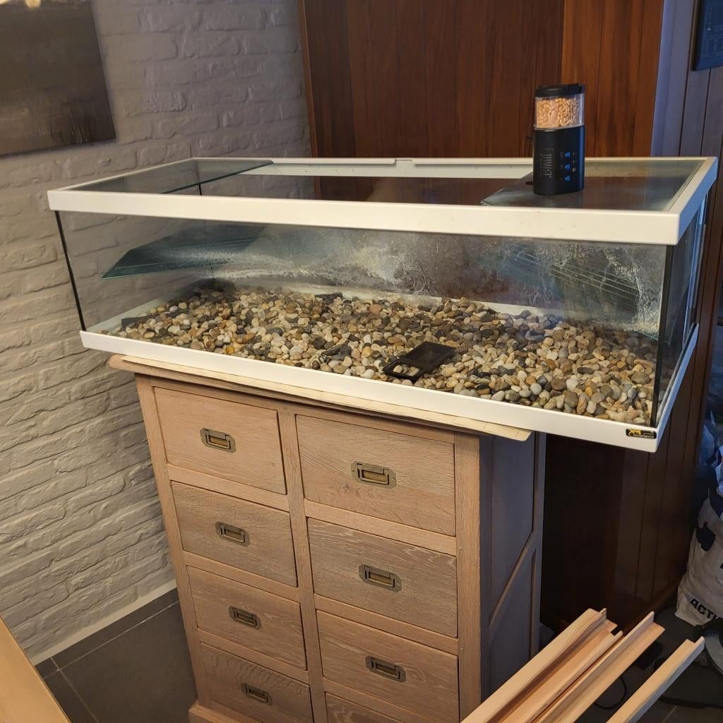reptielenbak, schildpadden met zeer goede filter, Animaux & Accessoires, Reptiles & Amphibiens | Accessoires, Utilisé, Terrarium ou Paludarium