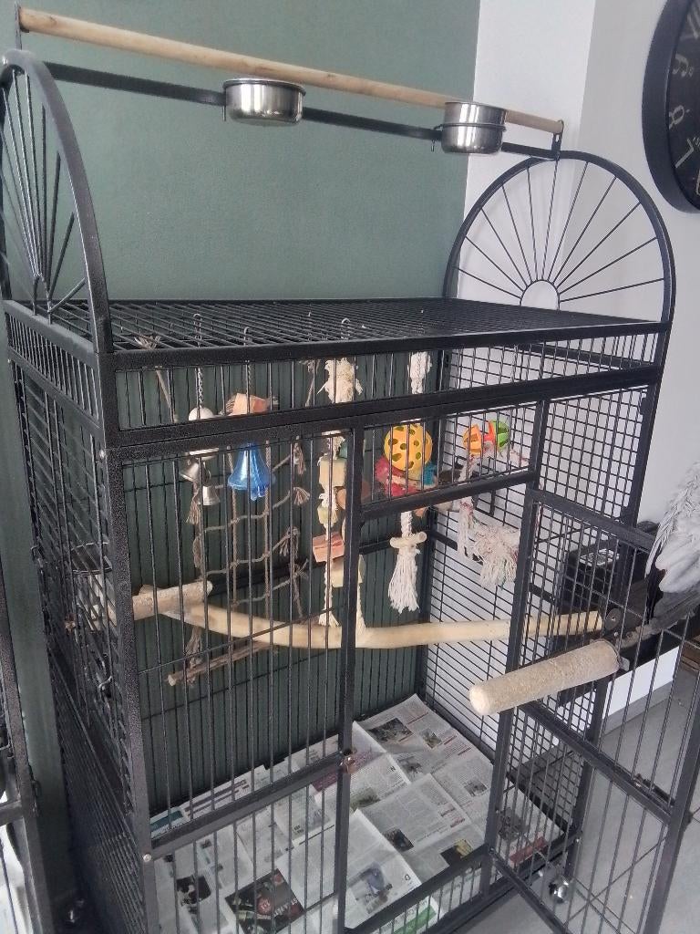 Cage perroquet ..voir description merci... sans son continu, Animaux & Accessoires, Enlèvement, Comme neuf, Métal, Cage à oiseaux