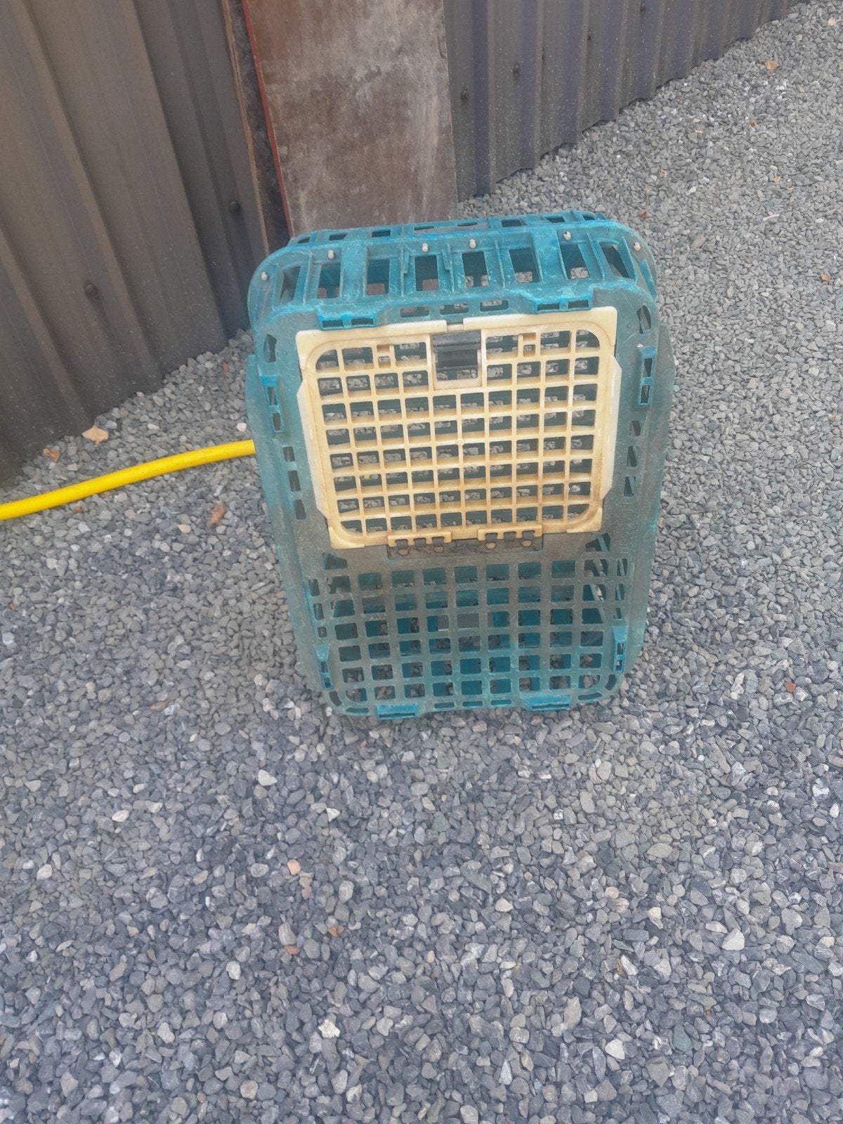 transportbox voor kleinvee, Dieren en Toebehoren, Ophalen
