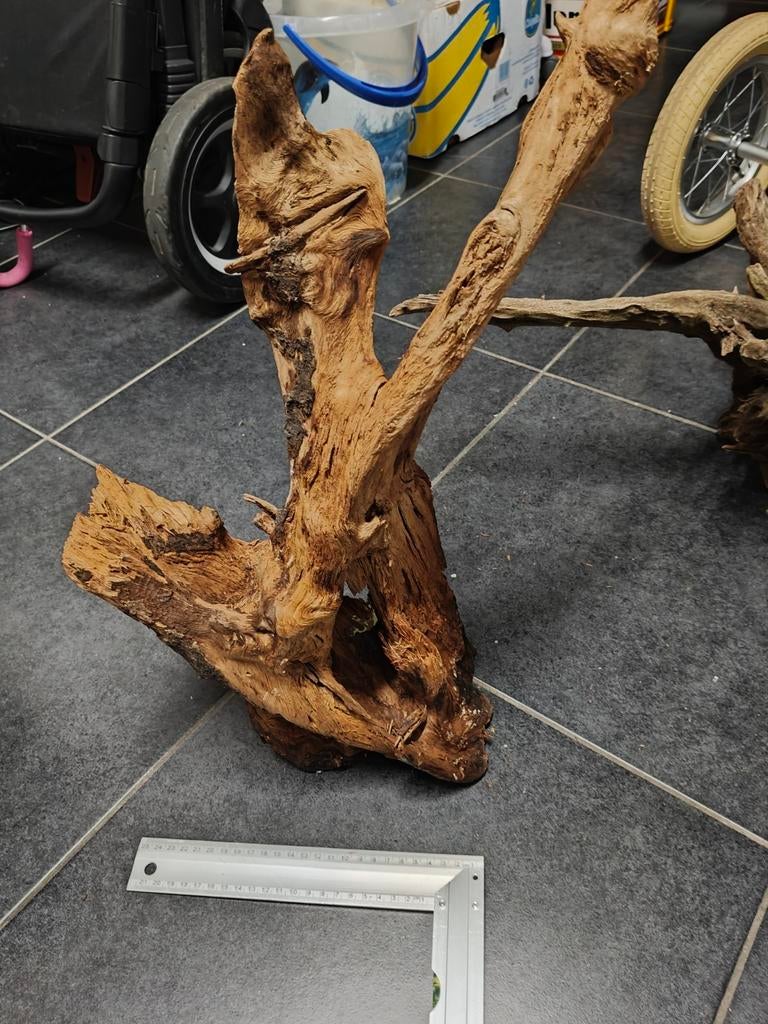 Aquariumhout groot, Animaux & Accessoires, Jouets pour chats, Enlèvement
