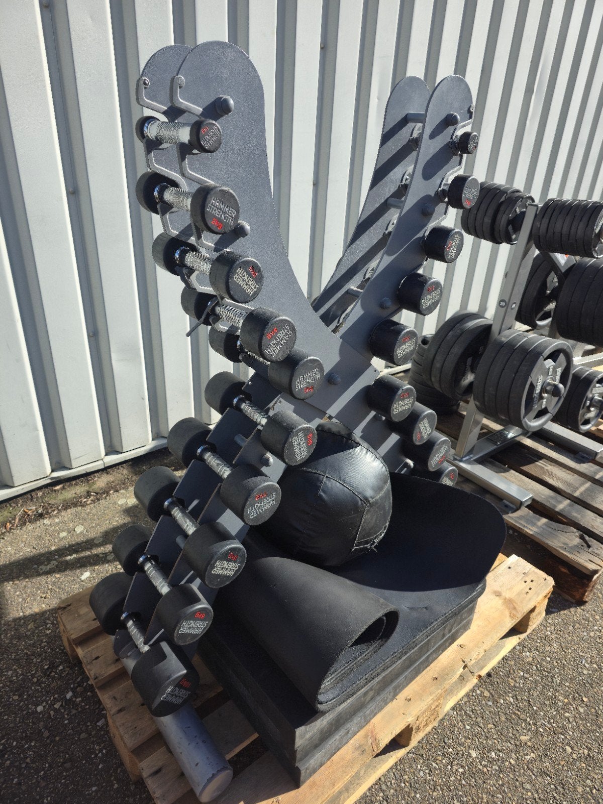 hammer strength dumbells 1 tm 10 kg, Ophalen