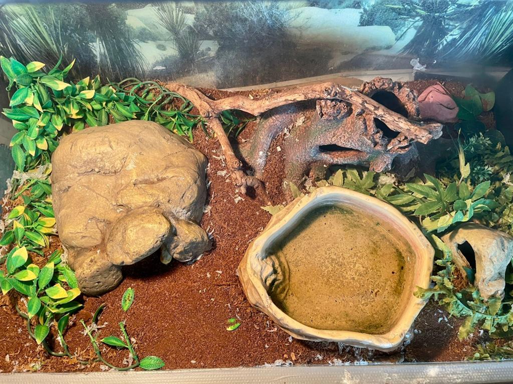 Terrarium met toebehoren in zeer goede staat!