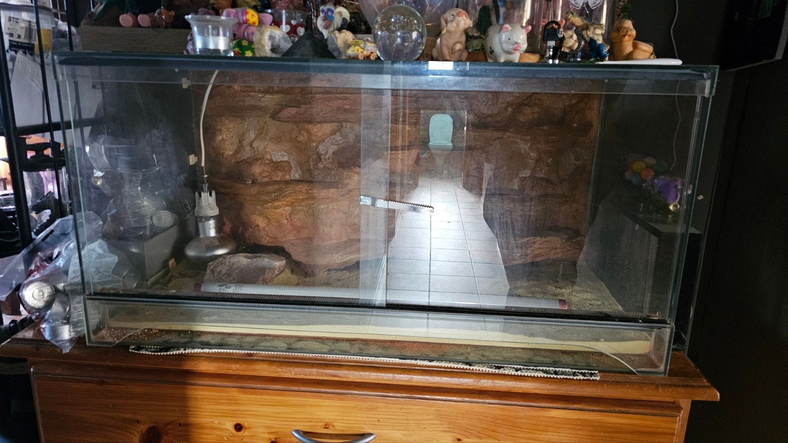 Terrarium 80x40x40, Animaux & Accessoires, Enlèvement