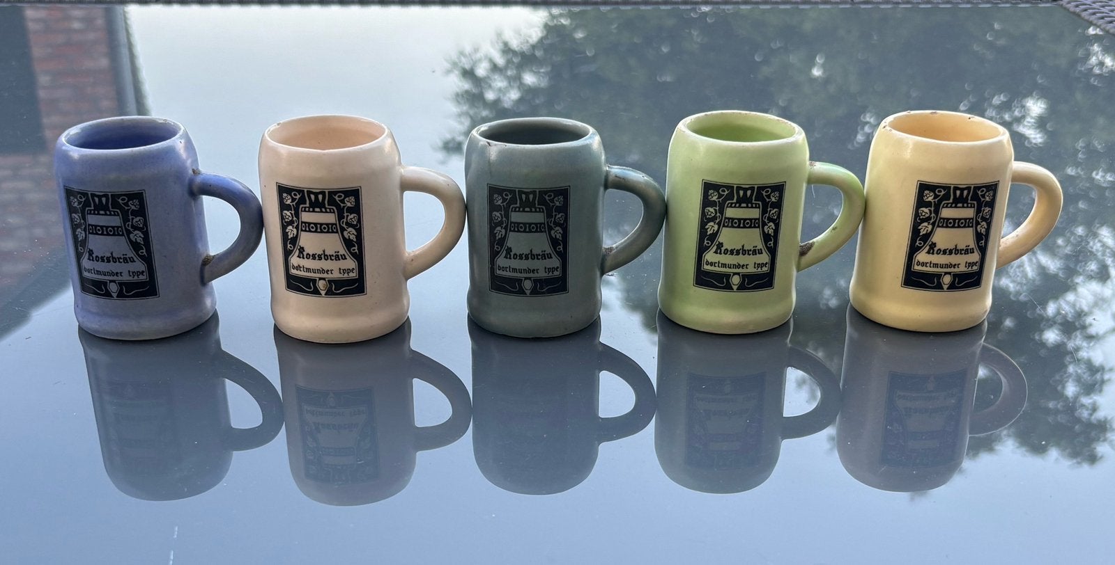 5 kleine bier potjes dortmunder, Enlèvement, Comme neuf, Autres marques
