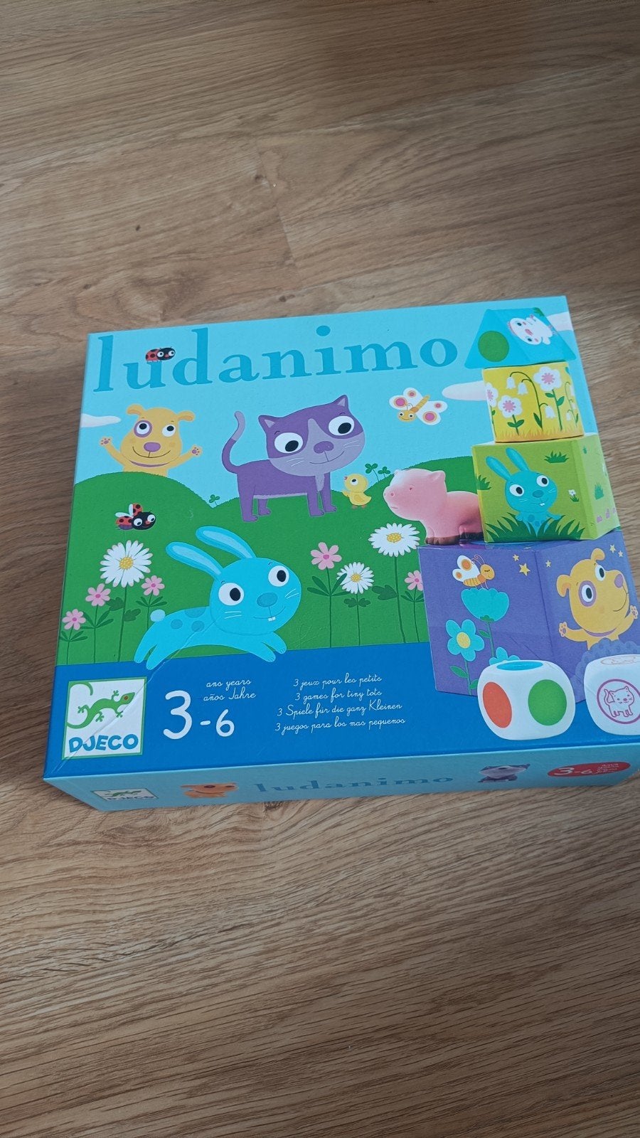 Spel Ludanimo Djeco, Hobby en Vrije tijd, Drie of vier spelers, Ophalen, Gebruikt, Djeco