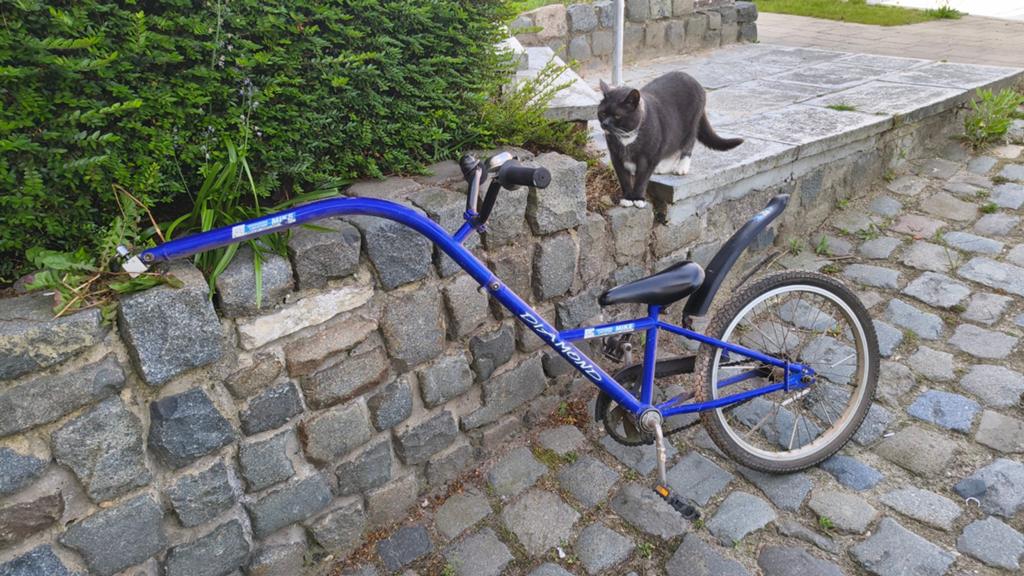 Tandem-aankoppeling voor kinderfiets, Fietsen en Brommers, Ophalen, Aanhangfiets