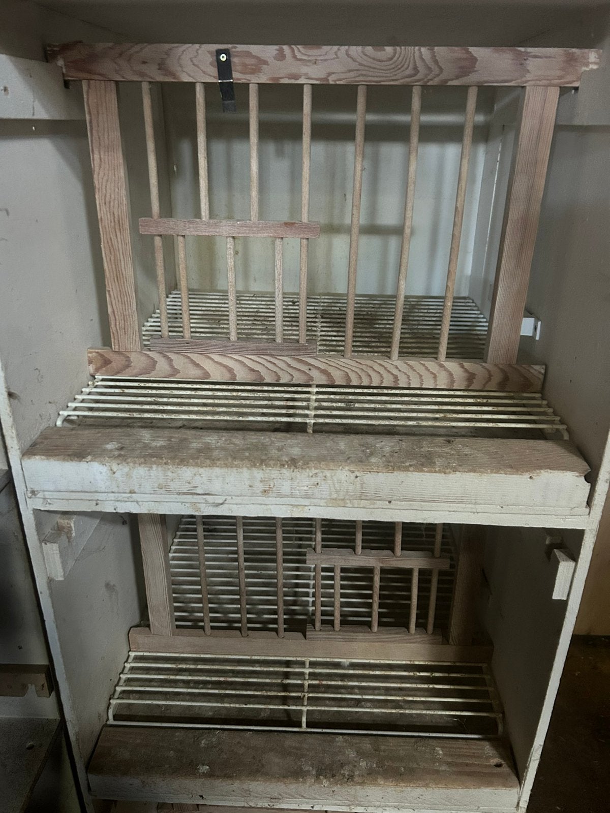 Duivenbakken, Animaux & Accessoires