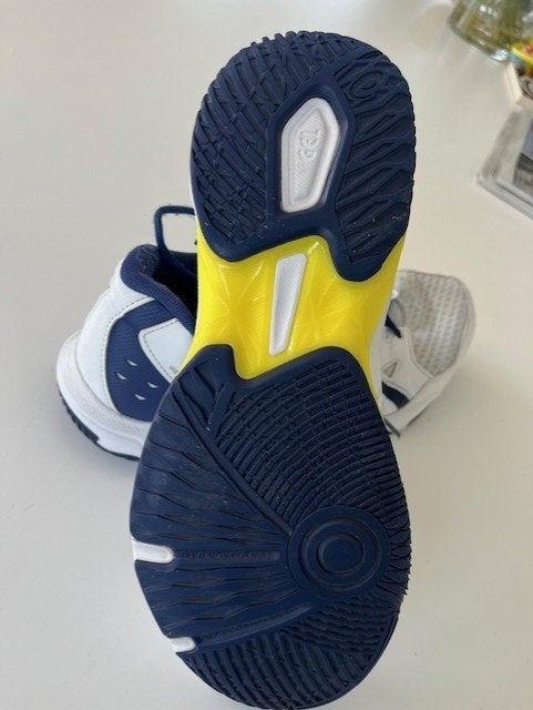 Maat 44 (binnen)sportschoenen ASICS, Sports & Fitness, Enlèvement, Asics