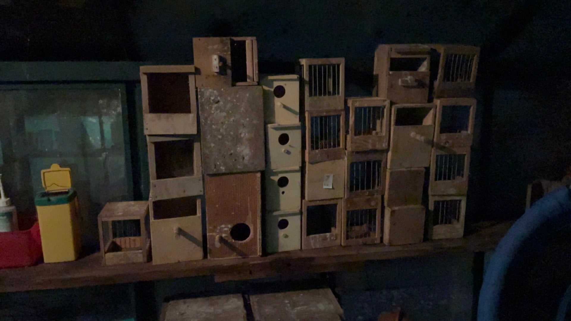 Broedkooitjes, Ophalen, Gebruikt, Hout, Broedkooi of Kweekkooi