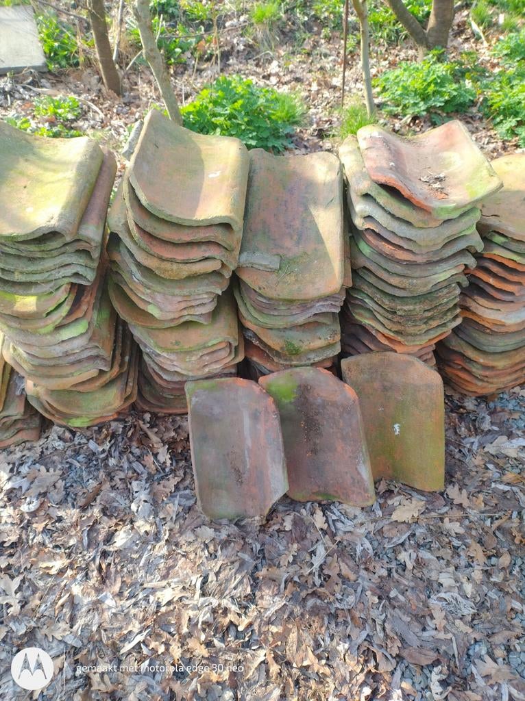 boomse dakpannen 240 stuks, Enlèvement ou Envoi, Tuiles