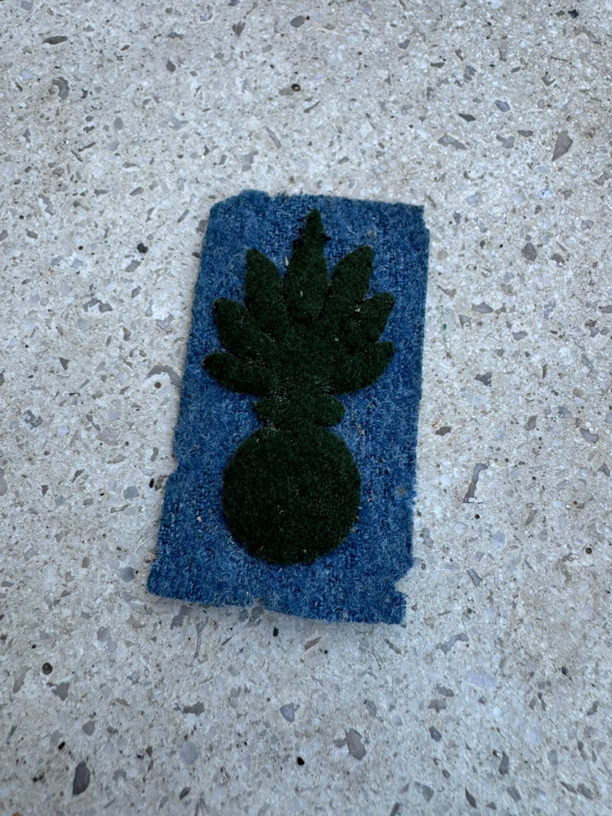 WW1 insigne blue horizon Français, Enlèvement ou Envoi