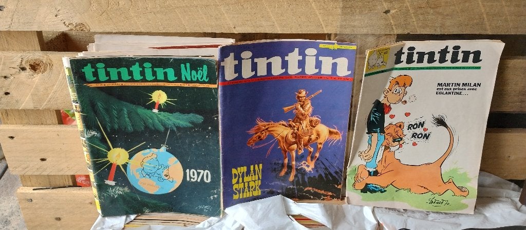 Tintin(l'hebdomadaire des jeunes de 7a77ans), Livres, Plusieurs BD, Enlèvement, Utilisé, Divers auteurs