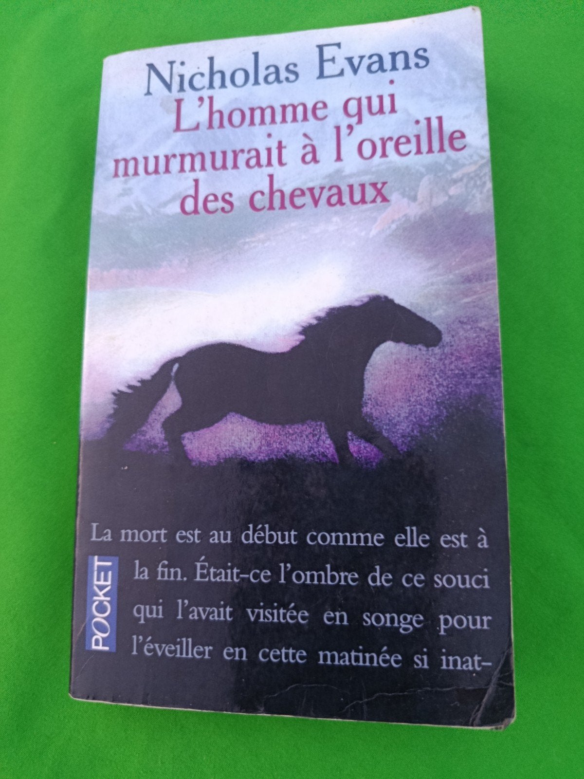 L'Homme Qui Murmurait A L'Oreille Des Chevaux, Enlèvement, Nicholas Evans