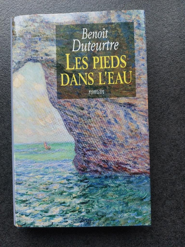 Les pieds dans l'eau - Benoît Duteurtre, Livres, Biographies, Comme neuf, Autre, Enlèvement