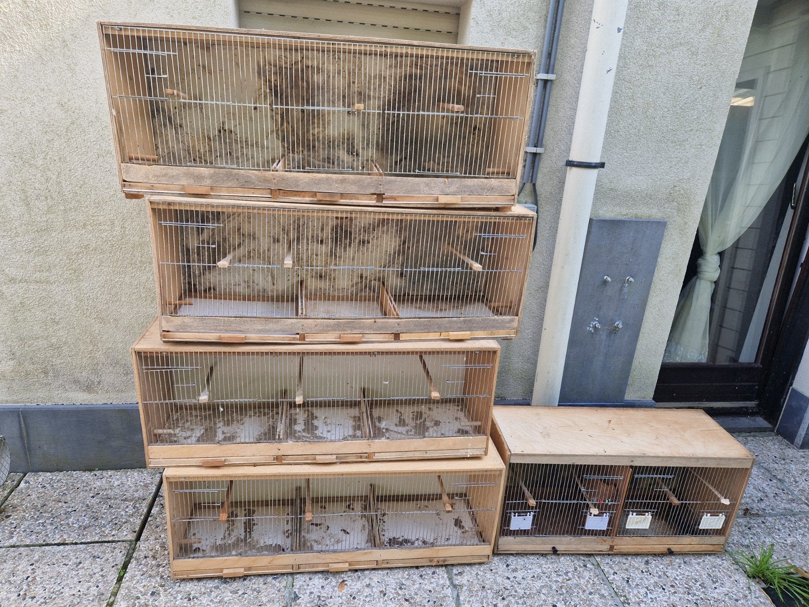 Cage d'élevage a donner, Animaux & Accessoires