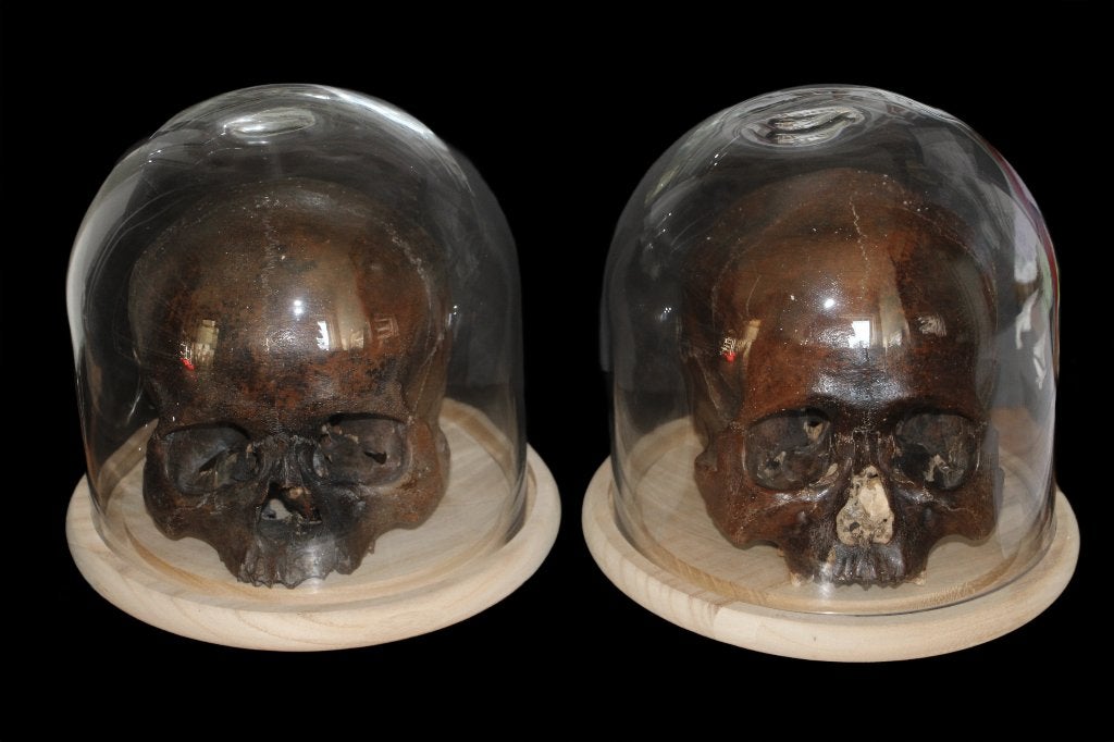 Homo sapiens, Ophalen of Verzenden, Fossiel