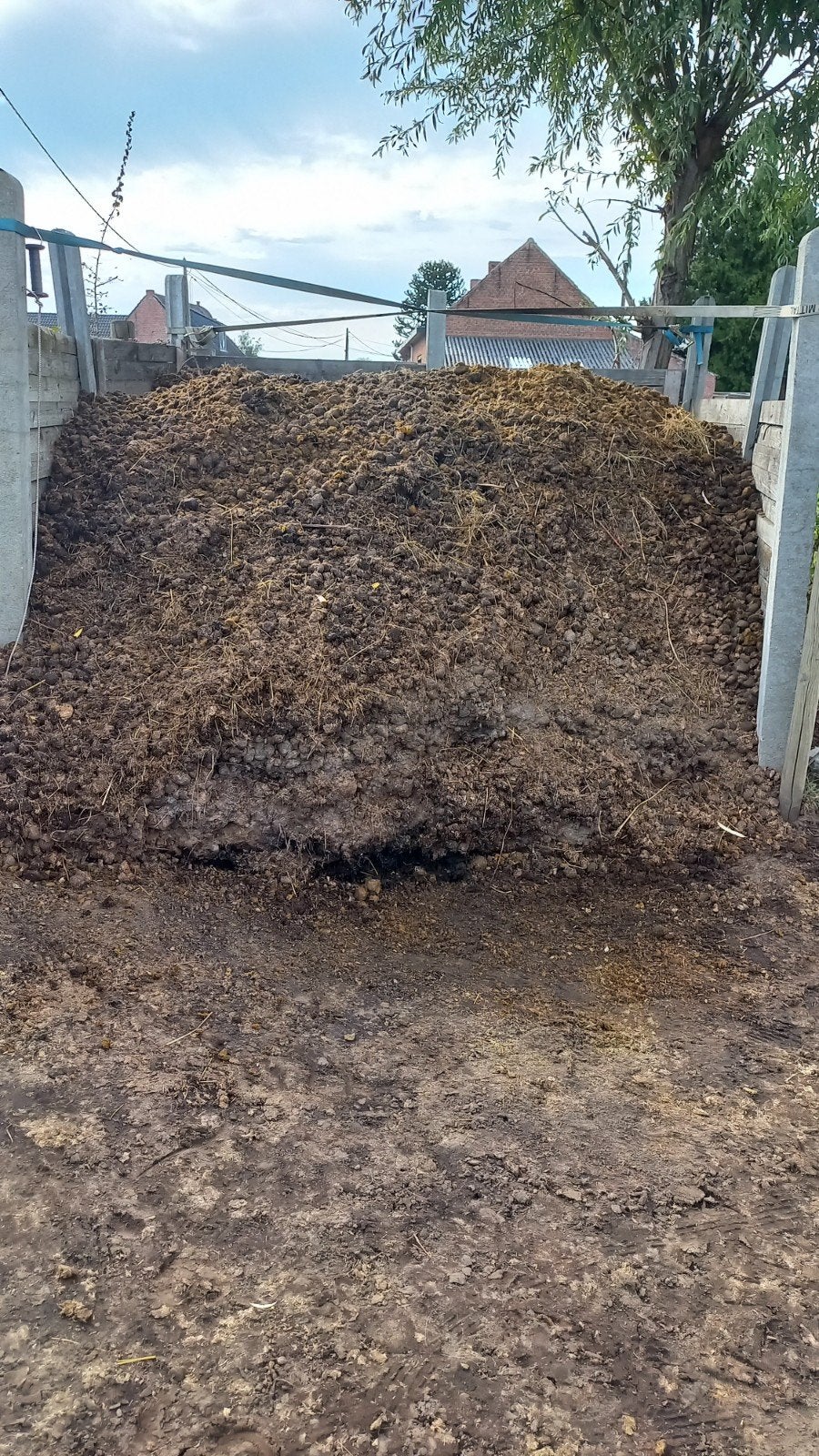 Gratis zuivere paardenmest - Duffel, Tuin en Terras, Ophalen of Verzenden