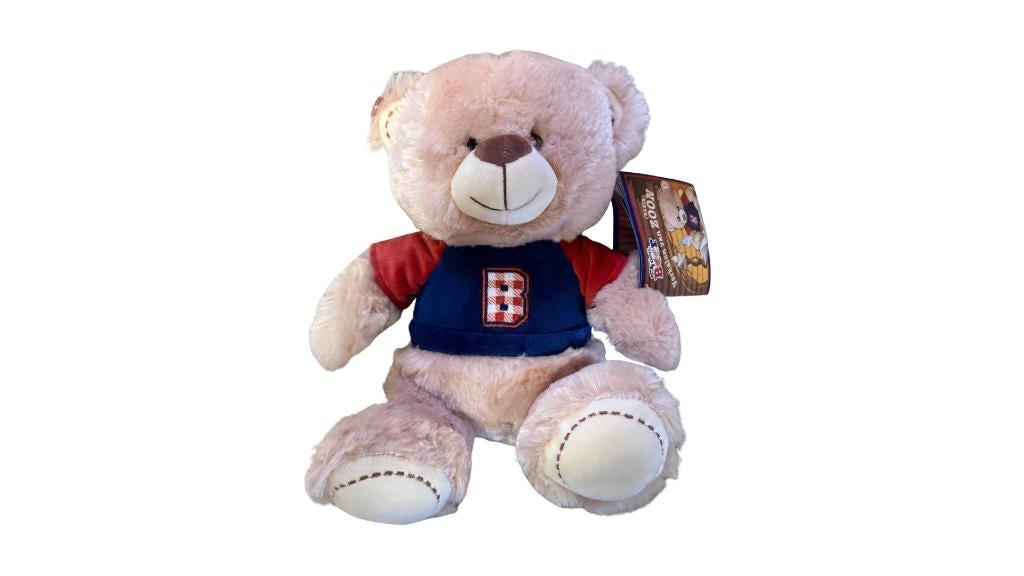 Familie Beer Zoon Knuffels, Enfants & Bébés, Jouets | Peluches, Neuf, Ours, Overige karakters, Moyen (20 à 80 cm), Beige, Interactif