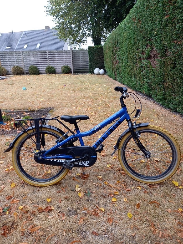 kinderfiets 20 inch, Fietsen en Brommers, Fietsen | Kinderfietsjes, Ophalen, Gebruikt, Trommelrem