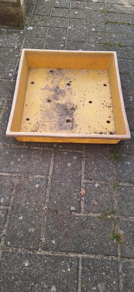 Gebruikte plastiek zaaibak, stekbak, 40x45, Tuin en Terras, Kweekspullen, Ophalen