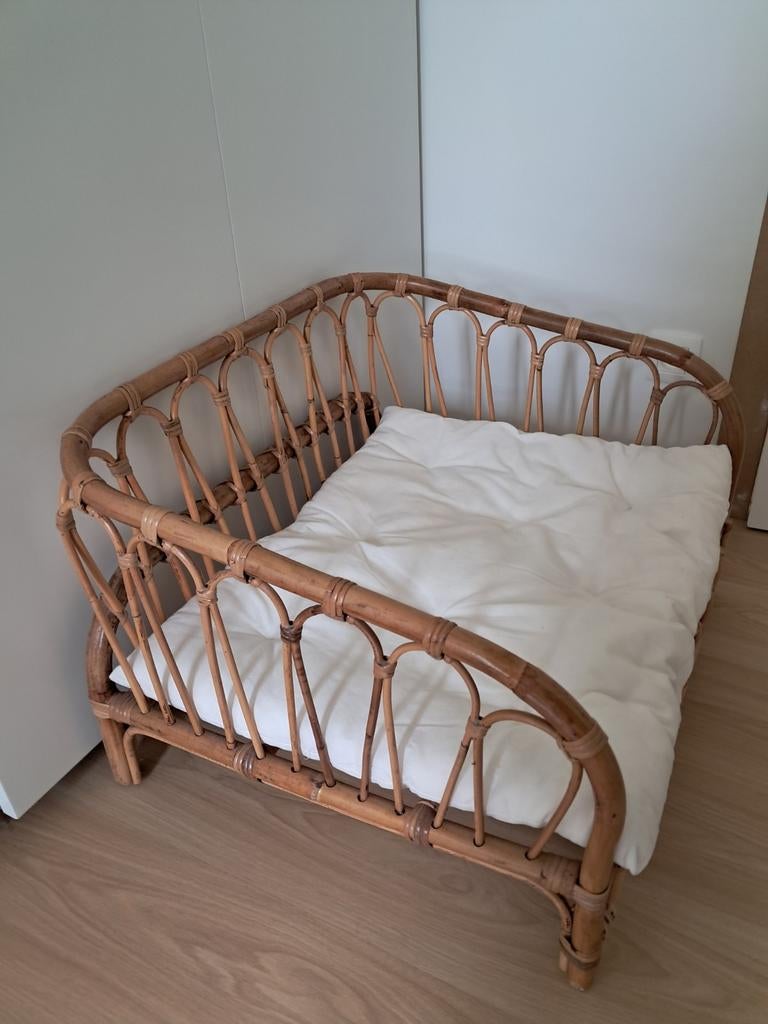 Rotan bankje, Enlèvement