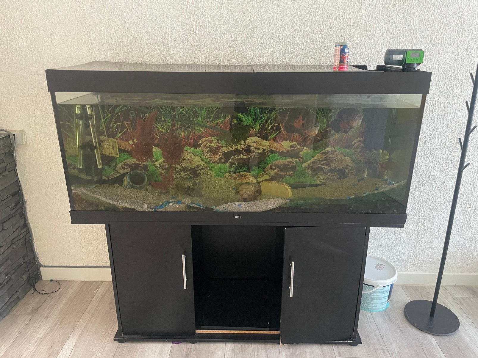 Aquarium met 5 vissen, Dieren en Toebehoren, Ophalen, Inclusief vissen, Gebruikt