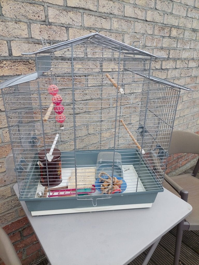 Grote vogelkooi met toebehoren, Ophalen, Zo goed als nieuw, Vogelkooi