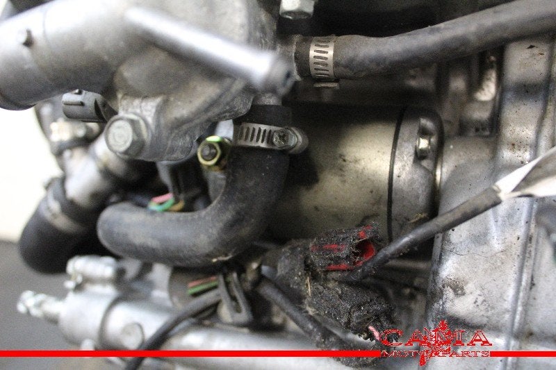 STARTMOTOR Honda CBR 600 RR 2003-2004 (CBR600RR PC37), Dhr. S. di Majo, Gebruikt, Info@cama-motorparts.nl, P.J. Troelstraweg 8 8
3144 CX  MAASSLUIS, NL