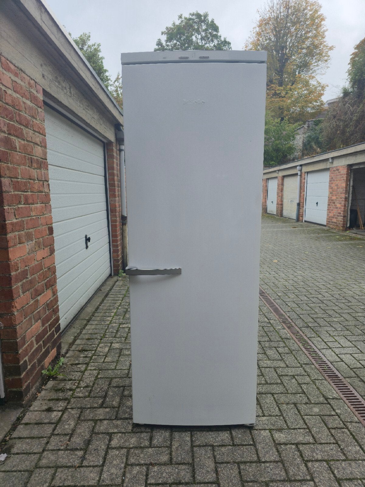 miele congélateur XXL   A+++ NO FROST  A+++ | livraison poss, Ophalen, Vrieskast