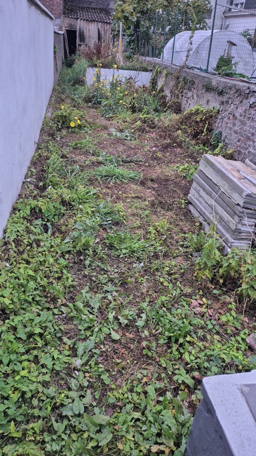 Petit jardin à nettoyer/désherber + déplacement de dalles –, Offres d'emploi