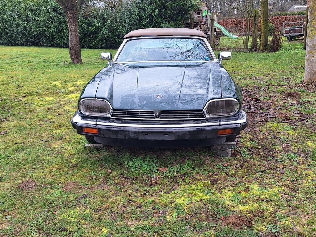 Jaguar xjs 5.3 v12 cabrio roestvrij 41623kilometers, Autos, Oldtimers & Ancêtres, Cuir, Achat, Cabriolet, Automatique