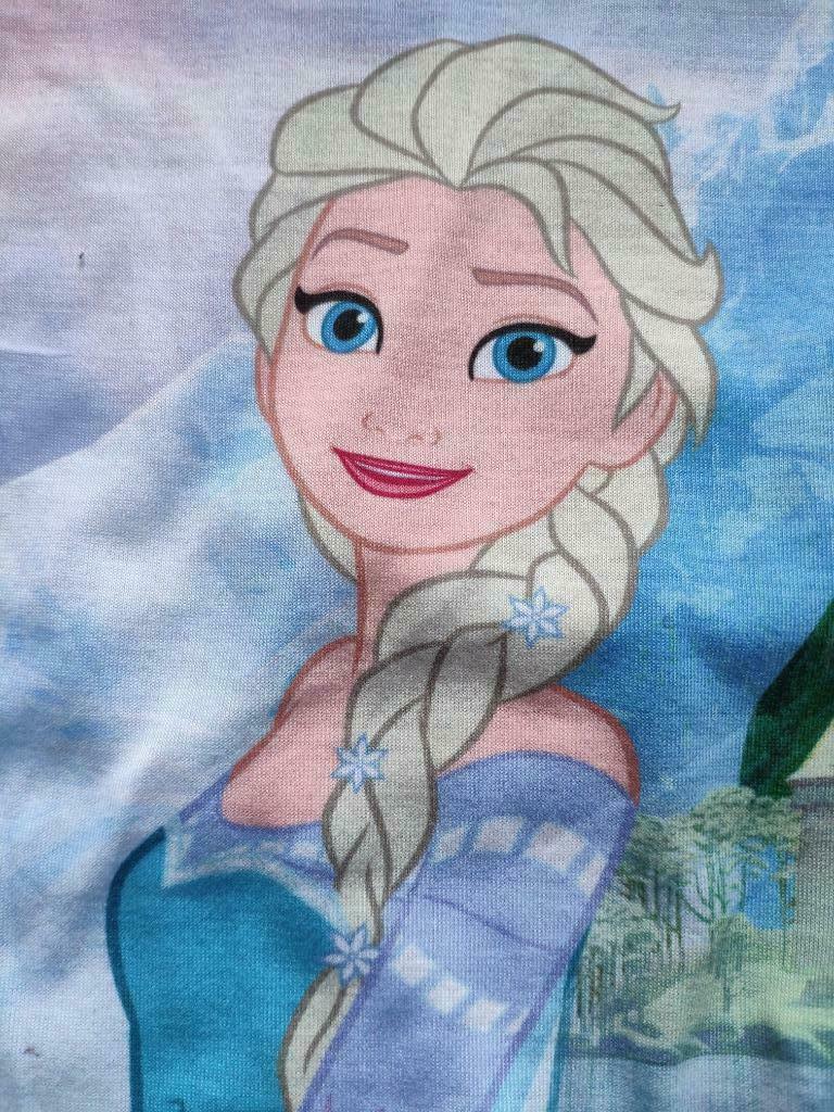 Prinses Elsa Frozen Disney T-shirt - maat 116, Enfants & Bébés, Vêtements enfant | Taille 116, Disney, Enlèvement ou Envoi, Chemise ou À manches longues