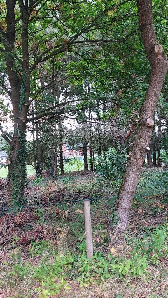 Perceel van 12,87 are beboste landbouwgrond, Ophalen of Verzenden
