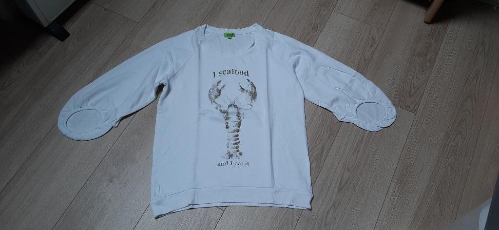 Trui K-design maat S - 36, Kleding | Dames, K-design, Wit, Ophalen of Verzenden, Zo goed als nieuw