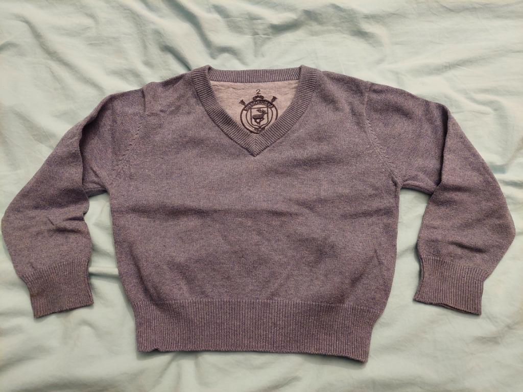 Pull 3 ans BUISSONNIERE bleu col V, Garçon ou Fille, Pull ou Veste, Comme neuf, Enlèvement