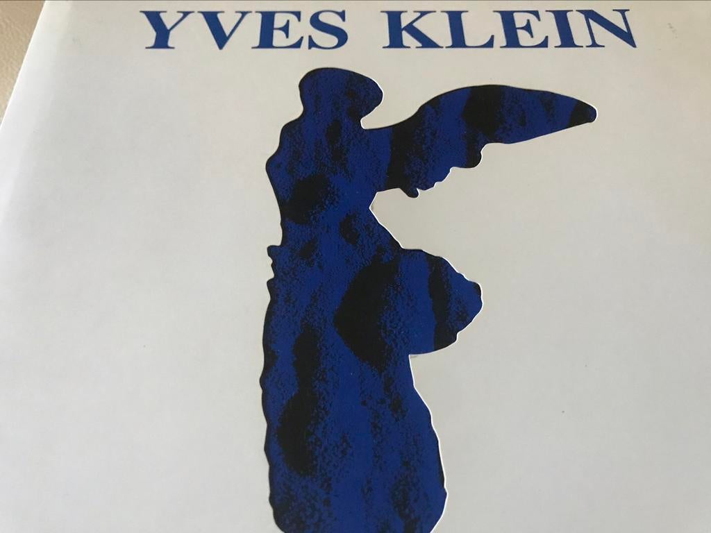 Yves Klein Catalogue Raissoné 325pag, Ophalen of Verzenden, Zo goed als nieuw, Schilder- en Tekenkunst