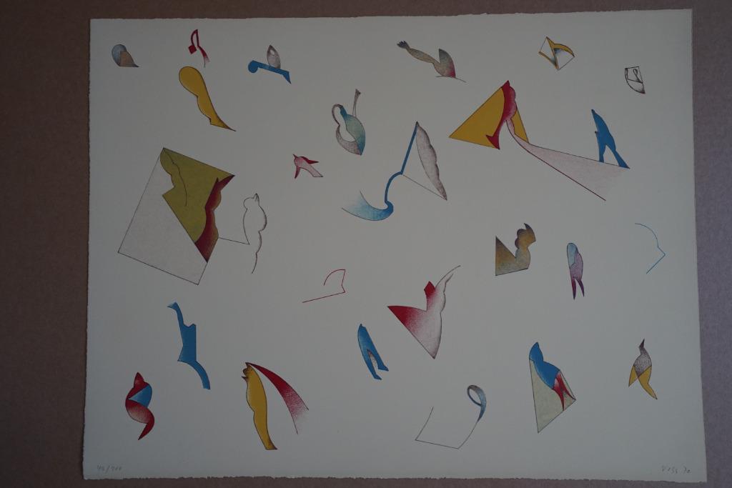 Litho Duits kunstenaar Jan Voss - oplage 100 ex., Enlèvement