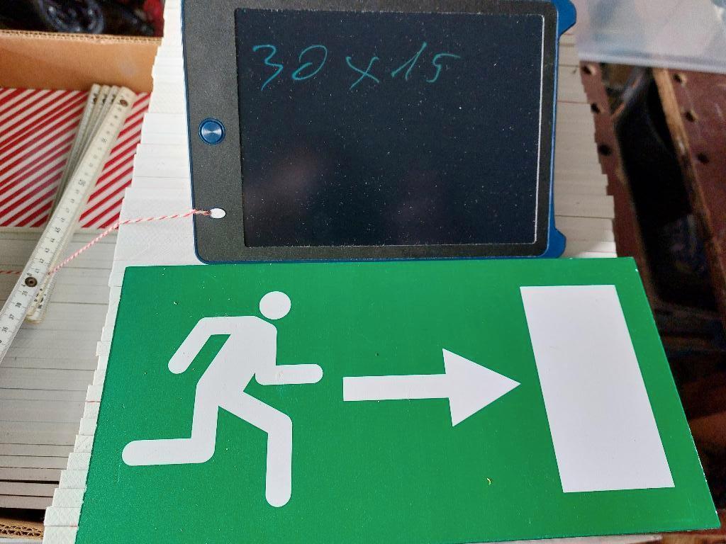 nooduitgang pictogram, Doe-het-zelf en Bouw, Ophalen of Verzenden, Zo goed als nieuw