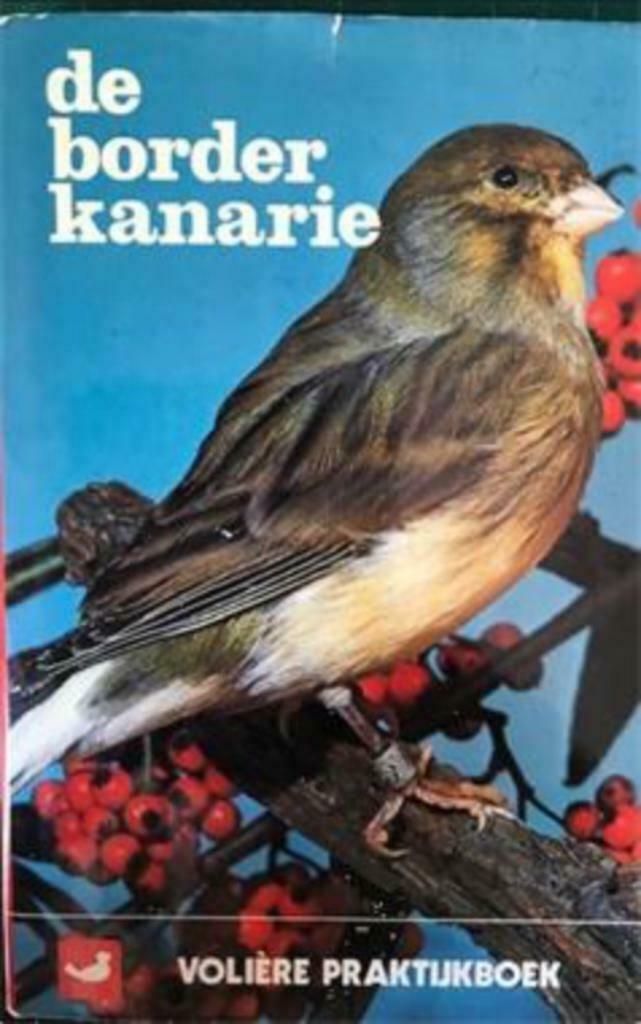 De border kanarie, Ernest Howson, Enlèvement ou Envoi, Utilisé, Oiseaux