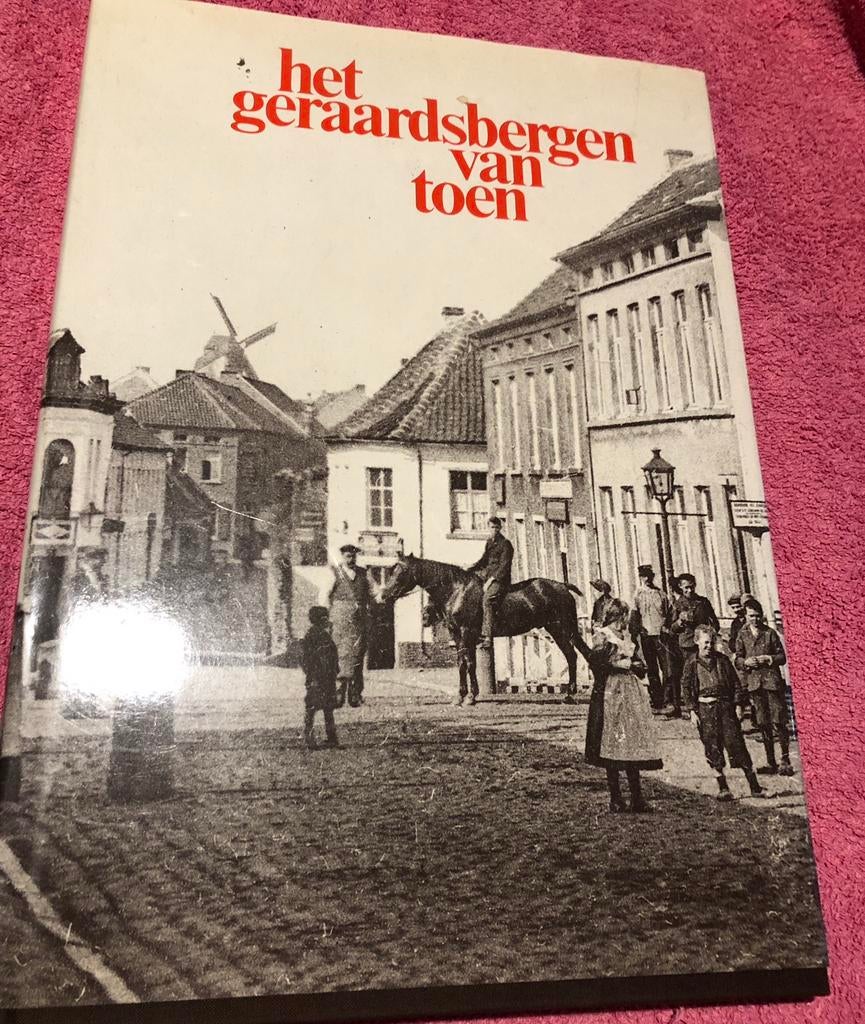 Geraardsbergen en deelgemeenten : boeken allerlei ., Boeken, Ophalen of Verzenden, Gelezen