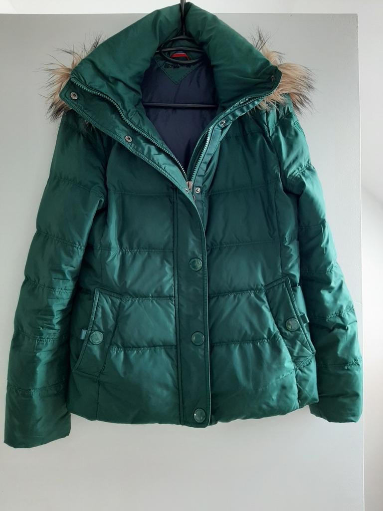Tommy hilfiger jas, Tommy hilfiger, Ophalen of Verzenden, Maat 36 (S), Gedragen