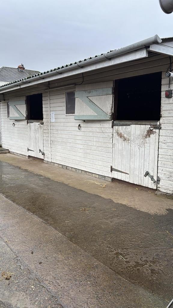 2 paarden stallen te huur op een kleine Privé stalling, Weidegang, 4 paarden of pony's of meer