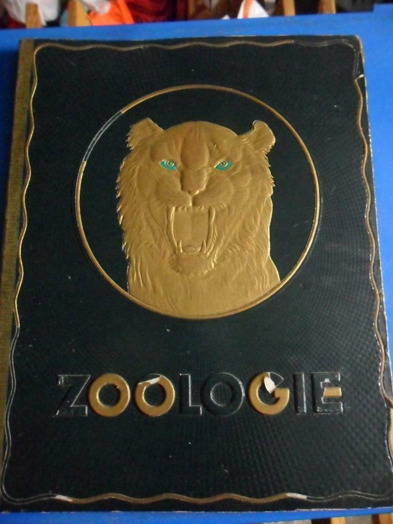 Zoologie - Kwatta, Ophalen of Verzenden, Gelezen, Prentenboek