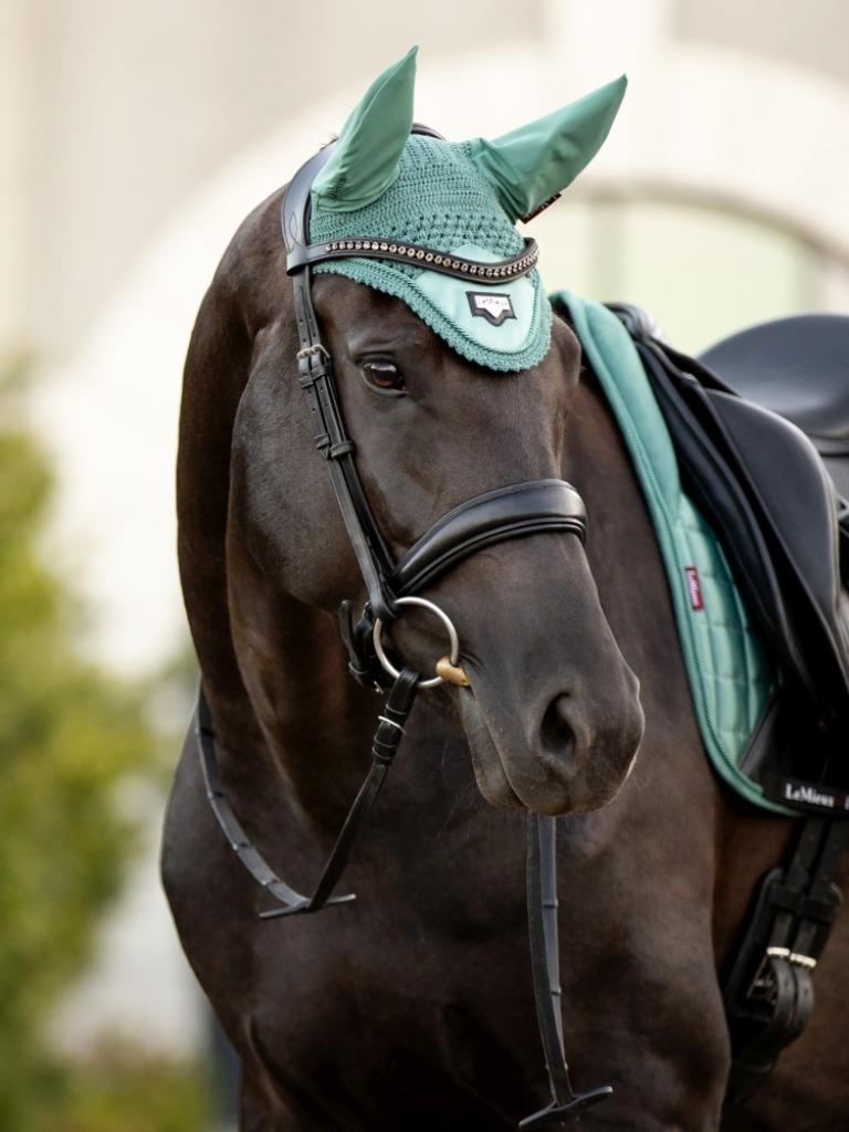 LeMieux Loire Oornetje Sage full, Animaux & Accessoires, Chevaux & Poneys | Brides & Harnachement, Neuf, Dressage, Enlèvement ou Envoi